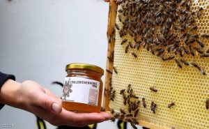 نصائح ثمينة لمن يريدون العسل الأكثر فائدة