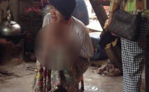 كمبوديا : مقتل طفلة بعد سقوطها في بركة تماسيح
