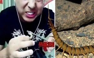 وفاة شاب صيني في بث مباشر بعد تحدي ” الحشرات السامة “