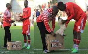 هداف كرة أفريقي يتلقى ” دجاجة ” تقديراً لأدائه المميز !