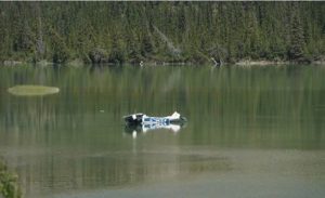 سقوط طائرة في نهر بمقاطعة ألبرتا الكندية