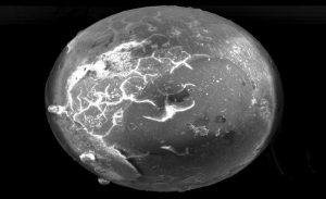 العلماء يكتشفون ” لآلئ كونية ” عمرها أكثر من 3 ملايين عام