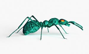 ” الروبوت النملة ” يستطيع القفز و التواصل و العمل الجماعي