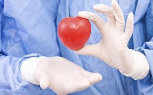 هل يمكن إصلاح أنسجة القلب بعد الأزمة القلبية ؟