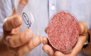 شريحة لحم مزروعة في مختبر قد تحدث قفزة عملاقة في قطاع الطعام ( فيديو )