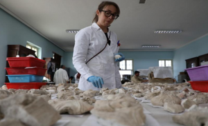 متحف أفغاني يرمم آثاراً بوذية دمرتها طالبان قبل 18 عاماً