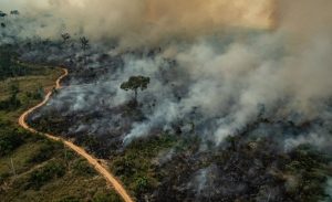 غابات ” أمازون ” الاستوائية تواجه خطر الشح في الأمطار !