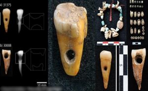 اكتشاف ” مجوهرات ” مصنوعة من أسنان بشرية في تركيا