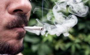 شركة أميركية تبحث عن موظف لتدخين ” الحشيش ” مقابل آلاف الدولارات شهرياً !