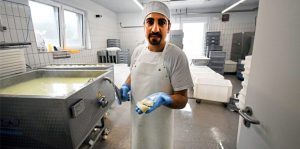 ألمانيا : صحيفة تسلط الضوء على سوري افتتح مصنعا لإنتاج الجبنة بنكهة سورية