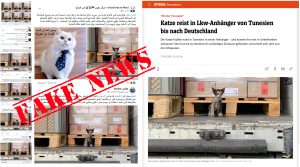 حقيقة خبر ” وصول قطة سوريا إلى ألمانيا بعد رحلة شاقة “