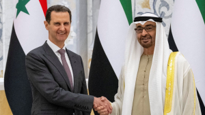 لماذا لا يتفاعل نظام الأسد مع المبادرة العربية حول سوريا ؟