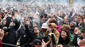 ألمانيا : إقبال كبير على نوادي تدخين القنب