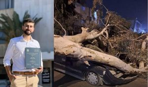 وفاة طبيب سوري جراء سقوط شجرة فوقه