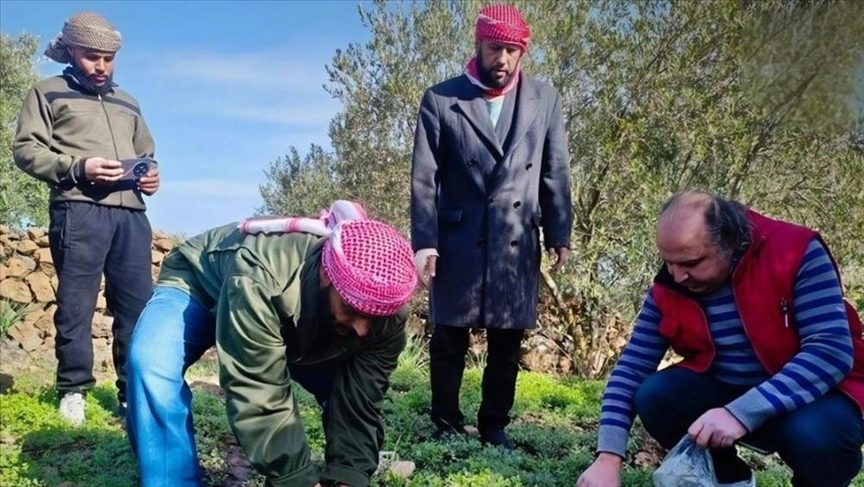 من جديد .. طيران إسرائيلي يرش “مواد مجهولة” على أراض زراعية في القنيطرة – عكس السير