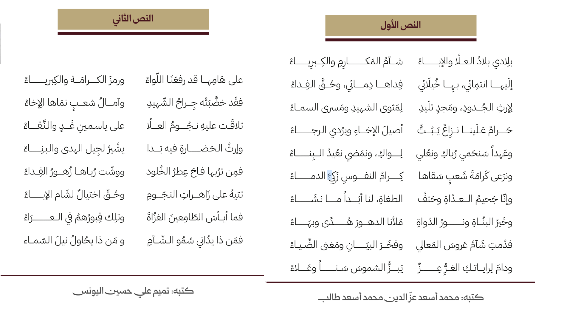 7 نصوص سيصبح أحدها النشيد الوطني السوري الجديد .. تعرف إليها.
